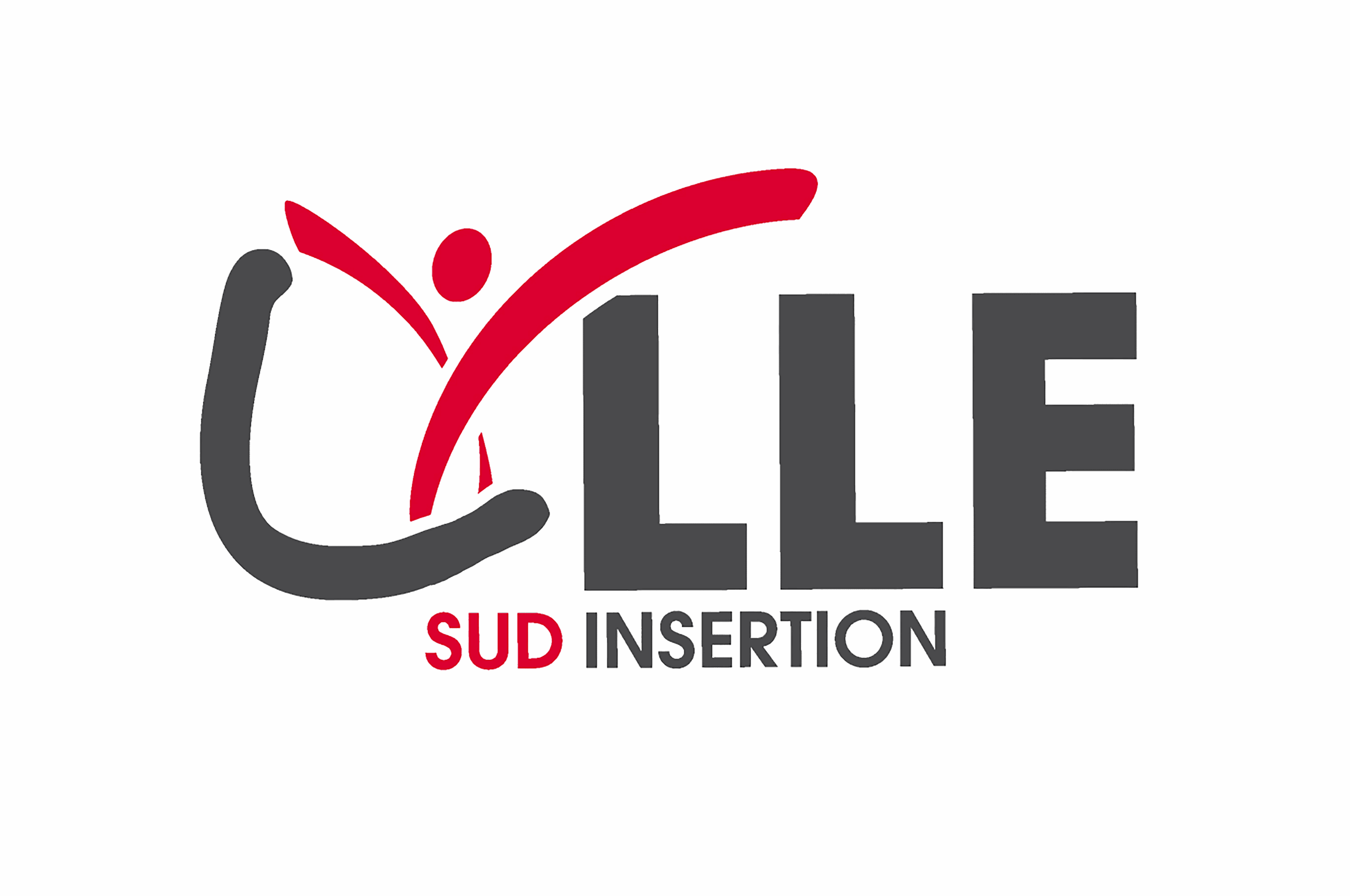 logo lille sud insertion